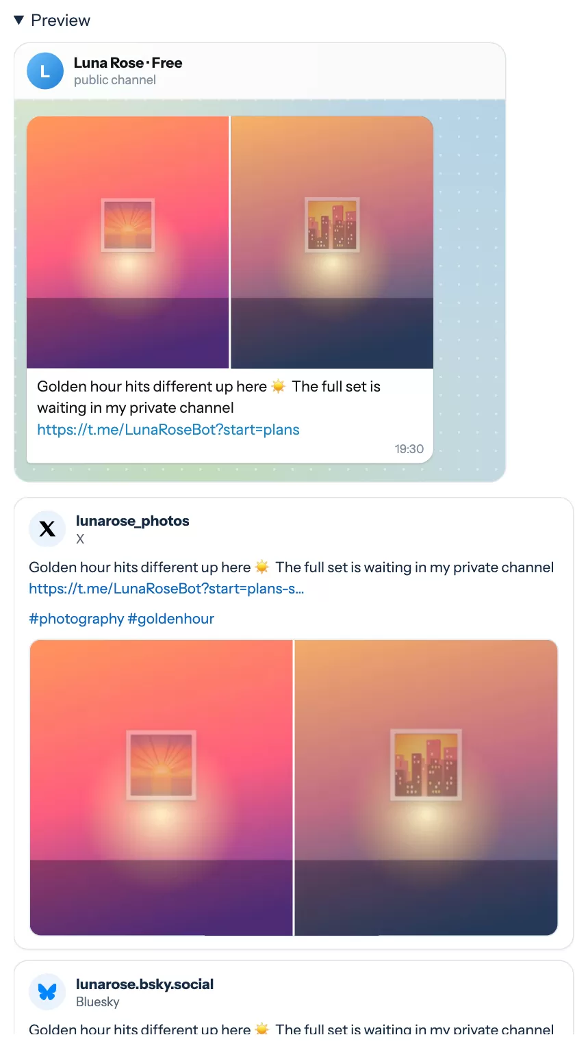 The preview: the post as a Telegram message and as cards for X and Bluesky